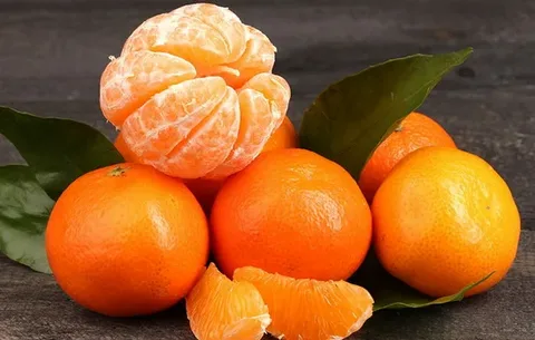 قیمت و خرید نارنگی درختی + فروش ارزان